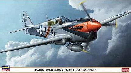 Hasegawa P-40N Warhawk Natural Metal "KNIL Irma"