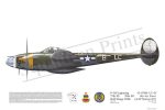 Squadron Prints P-38J Lightning USA
