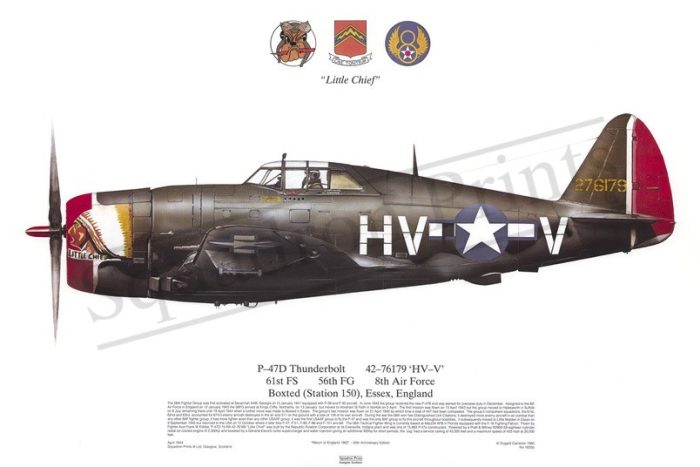 Squadron Prints P-47D Thunderbolt USA