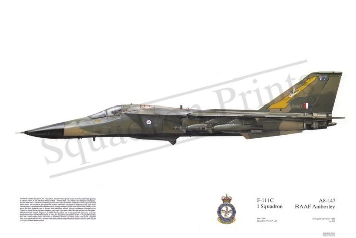 Squadron Prints F-111C Australia