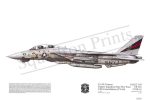 Squadron Prints F-14A Tomcat USA