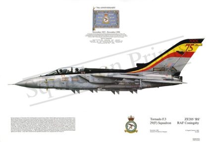 Squadron Prints Tornado F3 75th Anniversary Great Britain