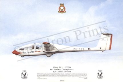 Squadron Prints Viking T1 Great Britain