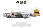Squadron Prints B-24H Liberator 50th Anniversary USA