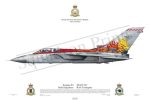 Squadron Prints Tornado F3 British
