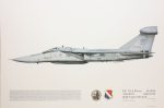 Squadron Prints EF-111A Raven USA