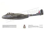 Squadron Prints Vampire FB5 Great Britain