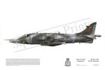 Squadron Prints Harrier GR3 Great Britain