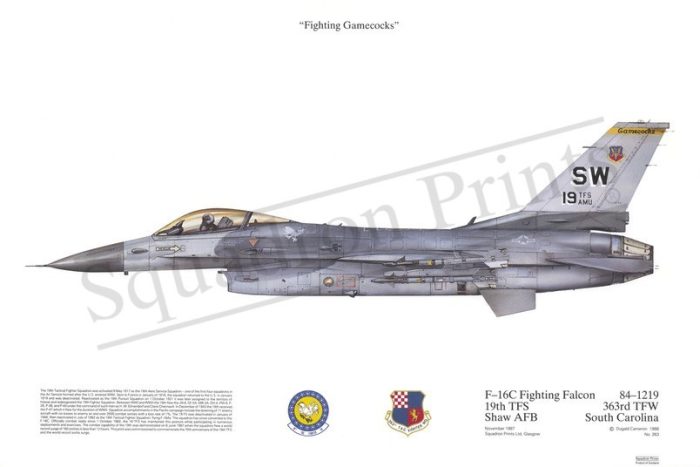 Squadron Prints F-16C Fighting Falcon USA