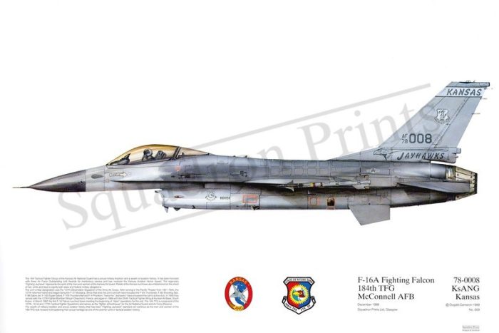Squadron Prints F-16A Fighting Falcon USA