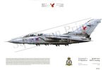Squadron Prints Tornado F3 Great Britain