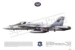 Squadron Prints F/A-18C Hornet USA