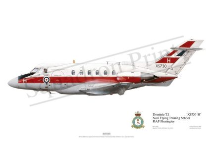 Squadron Prints Dominie T1 Great Britain