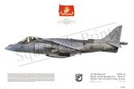 Squadron Prints AV-8B Harrier II USA