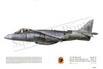 Squadron Prints AV-8B Harrier II USA