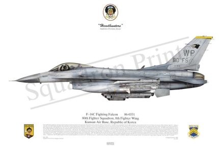 Squadron Prints F-16C Fighting Falcon USA