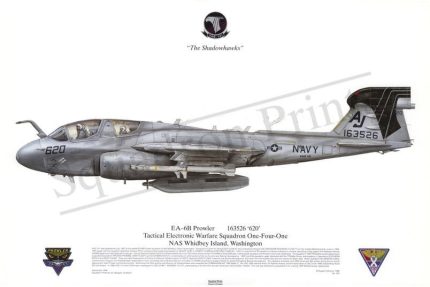 Squadron Prints EA-6B Prowler USA
