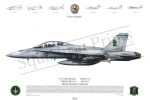 Squadron Prints F/A-18D Hornet USA