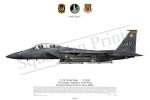 Squadron Prints F-15E Strike Eagle USA