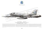 Squadron Prints F/A-18C Hornet USA