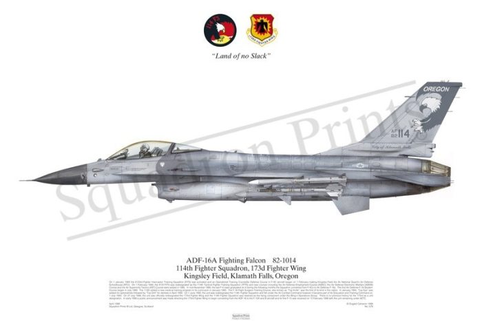 Squadron Prints F-16ADF Fighting Falcon USA