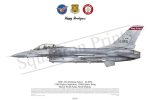 Squadron Prints F-16ADF Fighting Falcon USA