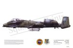 Squadron Prints A-10A Thunderbolt II USA
