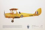 Squadron Prints Tiger Moth T2 Great Britain