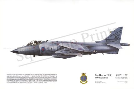 Squadron Prints Sea Harrier FRS1 Great Britain