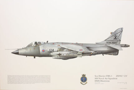 Squadron Prints Sea Harrier FRS1 Great Britain
