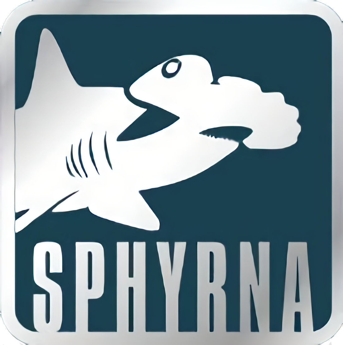 SPHYRNA