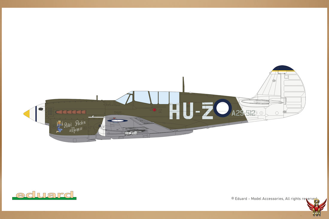 Eduard 1/48 Kittyhawk Dual Combo Limited Edition