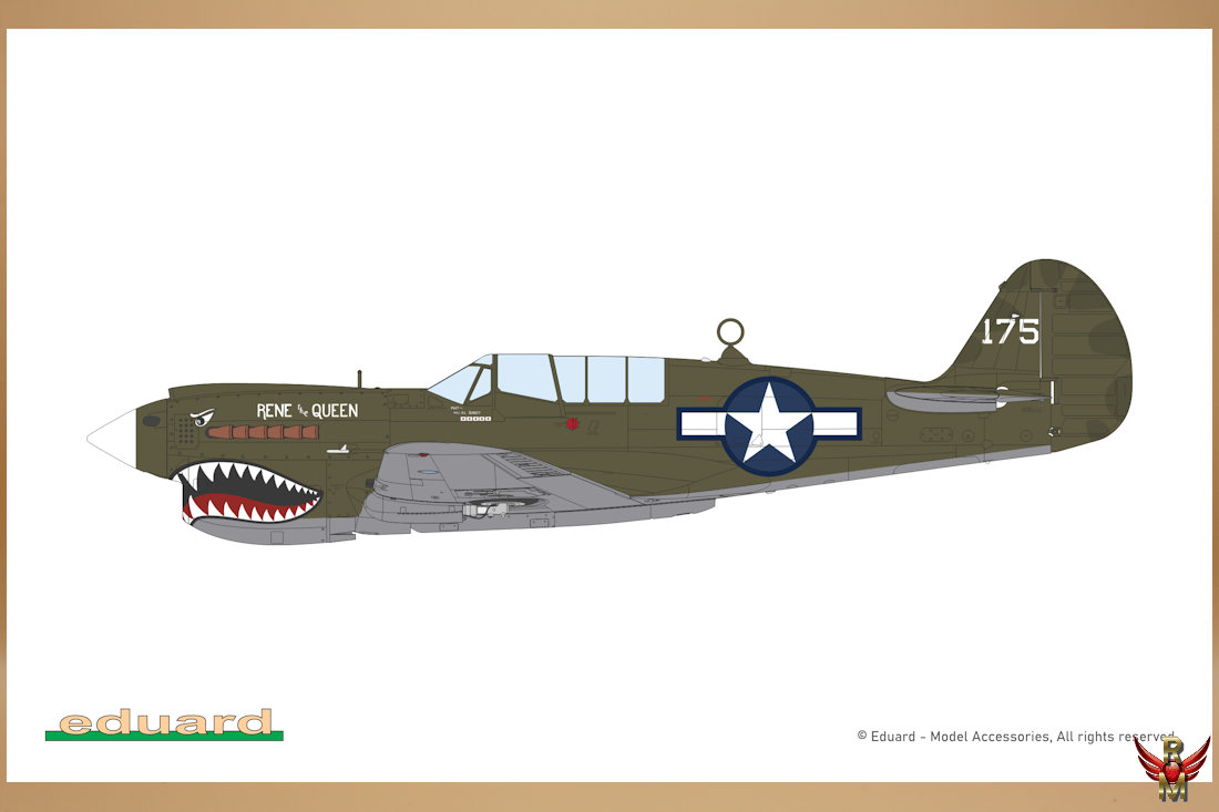 Eduard 1/48 P-40N Warhawk ProfiPack