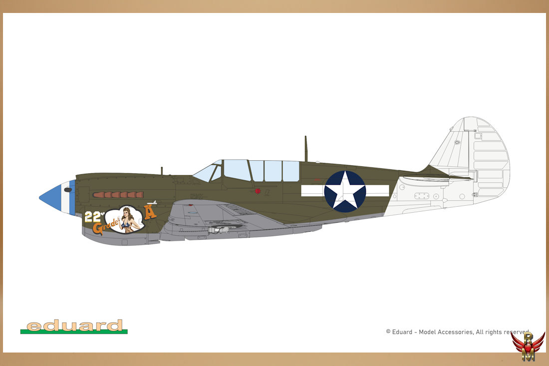 Eduard 1/48 P-40N Warhawk ProfiPack