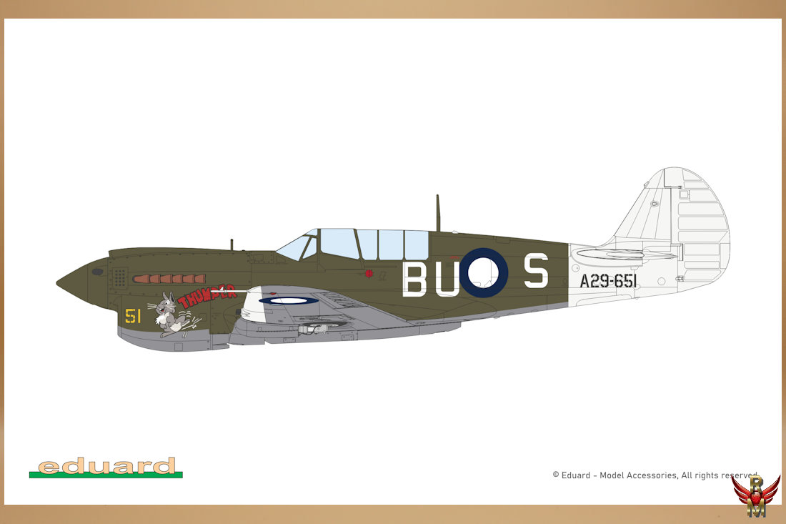 Eduard 1/48 P-40N Warhawk ProfiPack